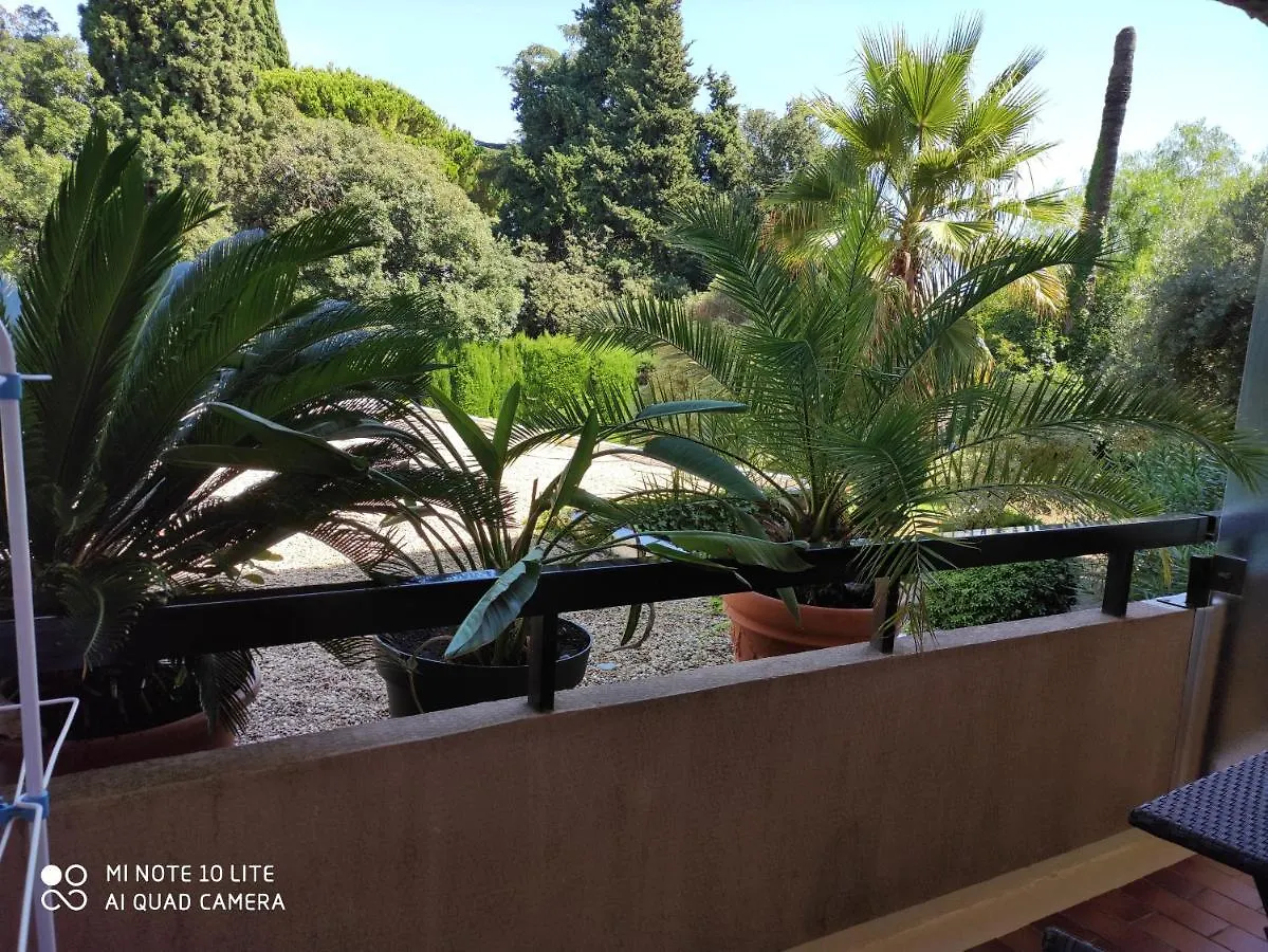 Residence Les Palmiers contacts