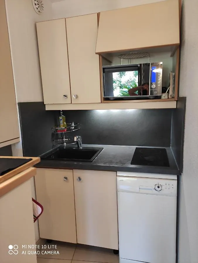 Residence Les Palmiers Nice